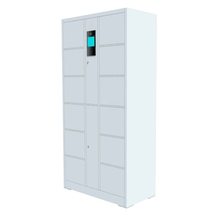 12-Door Face Recognition Lockers ROCKY ELK-1...
